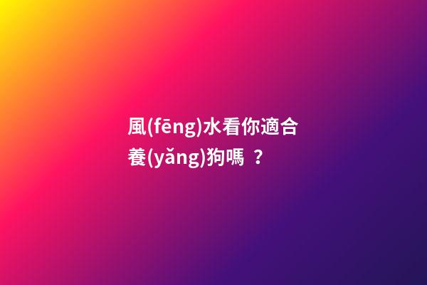 風(fēng)水看你適合養(yǎng)狗嗎？